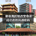 勤奋真的能改变命运？成功者的共通密码
