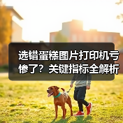 选错蛋糕图片打印机亏惨了?关键指标全解析(图2) 选错蛋糕图片打印机亏惨了?关键指标全解析(图2)