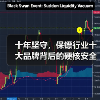 十年坚守,保镖行业十大品牌背后的硬核安全之道(图1) 十年坚守,保镖行业十大品牌背后的硬核安全之道(图1)