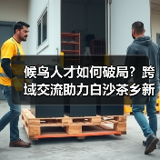 候鸟人才如何破局？跨域交流助力白沙茶乡新机遇
