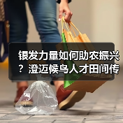 银发力量如何助农振兴?澄迈候鸟人才田间传经送宝(图2) 银发力量如何助农振兴?澄迈候鸟人才田间传经送宝(图2)