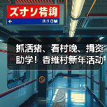 抓活猪、看村晚、捐资助学！香维村新年活动年味十足