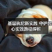 基层执纪新实践 守护民心实效路径探析(图1) 基层执纪新实践 守护民心实效路径探析(图1)