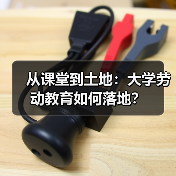 从课堂到土地:大学劳动教育如何落地?(图4) 从课堂到土地:大学劳动教育如何落地?(图4)