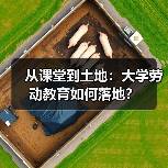 从课堂到土地:大学劳动教育如何落地?(图3) 从课堂到土地:大学劳动教育如何落地?(图3)