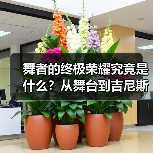 舞者的终极荣耀究竟是什么?从舞台到吉尼斯的跨越(图2) 舞者的终极荣耀究竟是什么?从舞台到吉尼斯的跨越(图2)