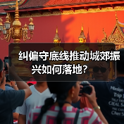 纠偏守底线推动城郊振兴如何落地?(图4) 纠偏守底线推动城郊振兴如何落地?(图4)