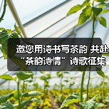邀您用诗书写茶韵 共赴“茶韵诗情”诗歌征集盛宴(图4) 邀您用诗书写茶韵 共赴“茶韵诗情”诗歌征集盛宴(图4)