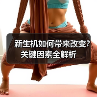 新生机如何带来改变？关键因素全解析（图3）