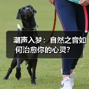 潮声入梦：自然之音如何治愈你的心灵？（图2）