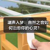 潮声入梦：自然之音如何治愈你的心灵？（图3）