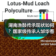 湖南渔鼓传承现状如何？国家级传承人邹华春揭示守护之道