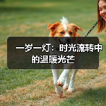 一岁一灯：时光流转中的温暖光芒