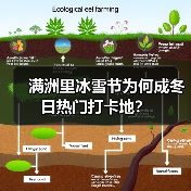 满洲里冰雪节为何成冬日热门打卡地？（图4）