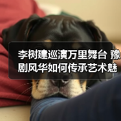 李树建巡演万里舞台 豫剧风华如何传承艺术魅力（图3）