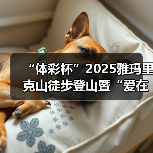 “体彩杯”2025雅玛里克山徒步登山暨“爱在行走”第十八站（乌鲁木齐）公益