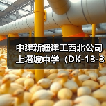 中建新疆建工西北公司上塔坡中学（DK-13-3）项目首栋楼顺利封顶（图4）