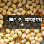 以勤为径,铺就逐梦坦途(图4) 以勤为径,铺就逐梦坦途(图4)