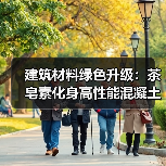 建筑材料绿色升级:茶皂素化身高性能混凝土引气剂(图4) 建筑材料绿色升级:茶皂素化身高性能混凝土引气剂(图4)
