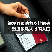 银发力量助力乡村振兴：澄迈候鸟人才深入田间地头，为特色农业“传经送宝”（图1）