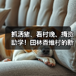 抓活猪、看村晚、捐资助学！田林香维村的新年太有年味了（图2）