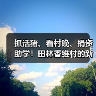 抓活猪、看村晚、捐资助学！田林香维村的新年太有年味了（图3）