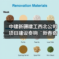 中建新疆建工西北公司项目建设奏响“新春奋进曲”(图3) 中建新疆建工西北公司项目建设奏响“新春奋进曲”(图3)