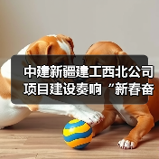 中建新疆建工西北公司项目建设奏响“新春奋进曲”(图4) 中建新疆建工西北公司项目建设奏响“新春奋进曲”(图4)