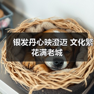 银发丹心映澄迈 文化繁花满老城(图1) 银发丹心映澄迈 文化繁花满老城(图1)