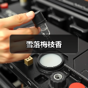 雪落梅枝香(图1) 雪落梅枝香(图1)
