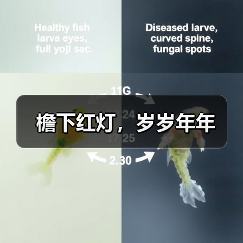 檐下红灯,岁岁年年(图2) 檐下红灯,岁岁年年(图2)