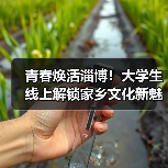 青春焕活淄博！大学生线上解锁家乡文化新魅力（图4）