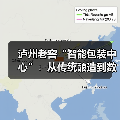 泸州老窖“智能包装中心”：从传统酿造到数智工厂的转型之路（图2）