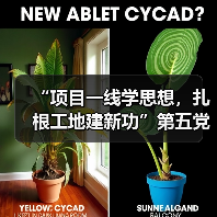 “项目一线学思想,扎根工地建新功”第五党 支部赴晶测芯项目现场开展主题(图1) “项目一线学思想,扎根工地建新功”第五党 支部赴晶测芯项目现场开展主题(图1)