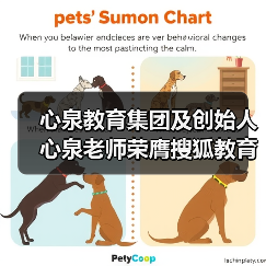心泉教育集团及创始人心泉老师荣膺搜狐教育年度双项大奖(图2) 心泉教育集团及创始人心泉老师荣膺搜狐教育年度双项大奖(图2)