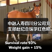 中融人寿四川分公司党支部赴纪念馆学红色精神,缅怀先烈守初心(图1) 中融人寿四川分公司党支部赴纪念馆学红色精神,缅怀先烈守初心(图1)