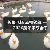 长鬃飞扬 幸福领航 —— 2026跨年乐享会于北京朝阳剧场华彩绽放