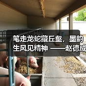 笔走龙蛇藏丘壑，墨韵生风见精神 ——赵德成先生书法欣赏（图4）