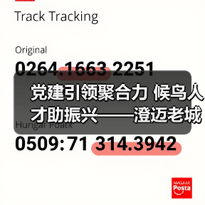 党建引领聚合力 候鸟人才助振兴——澄迈老城社区发展协会开展考察采风活动（图2）