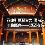 党建引领聚合力 候鸟人才助振兴——澄迈老城社区发展协会开展考察采风活动（图3）