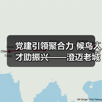 党建引领聚合力 候鸟人才助振兴——澄迈老城社区发展协会开展考察采风活动（图4）