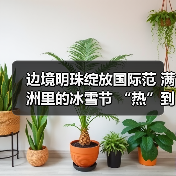 边境明珠绽放国际范 满洲里的冰雪节 “热”到了港澳台（图3）