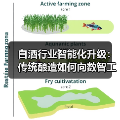 白酒行业智能化升级:传统酿造如何向数智工厂转型?(图3) 白酒行业智能化升级:传统酿造如何向数智工厂转型?(图3)