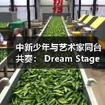 中新少年与艺术家同台共奏: Dream Stage 2025 慈善音乐会闪耀狮城(图2) 中新少年与艺术家同台共奏: Dream Stage 2025 慈善音乐会闪耀狮城(图2)