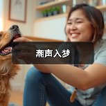 潮声入梦