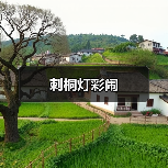 刺桐灯彩闹(图3) 刺桐灯彩闹(图3)