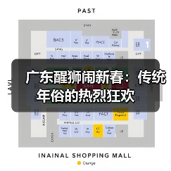 广东醒狮闹新春:传统年俗的热烈狂欢(图1) 广东醒狮闹新春:传统年俗的热烈狂欢(图1)