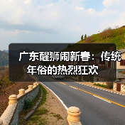广东醒狮闹新春:传统年俗的热烈狂欢(图3) 广东醒狮闹新春:传统年俗的热烈狂欢(图3)