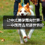 让中式美学舞向世界——中国舞吉尼斯世界纪录挑战（图2）