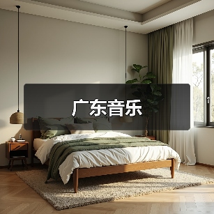 广东音乐（图2）